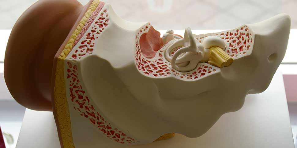 Adaptación Audífonos